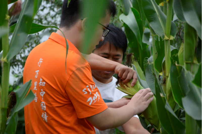 20230814_204937_439.png 云南洱源薪火社会实践团新闻稿462.png