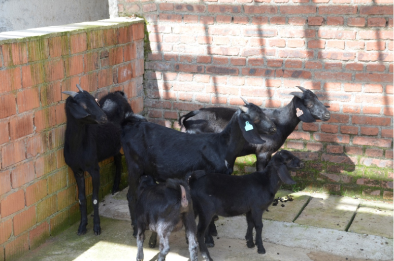 20230814_205217_682.png 云南洱源薪火社会实践团新闻稿1130.png