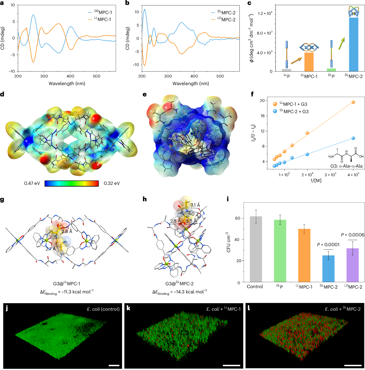 1725586271727124.png 05.png