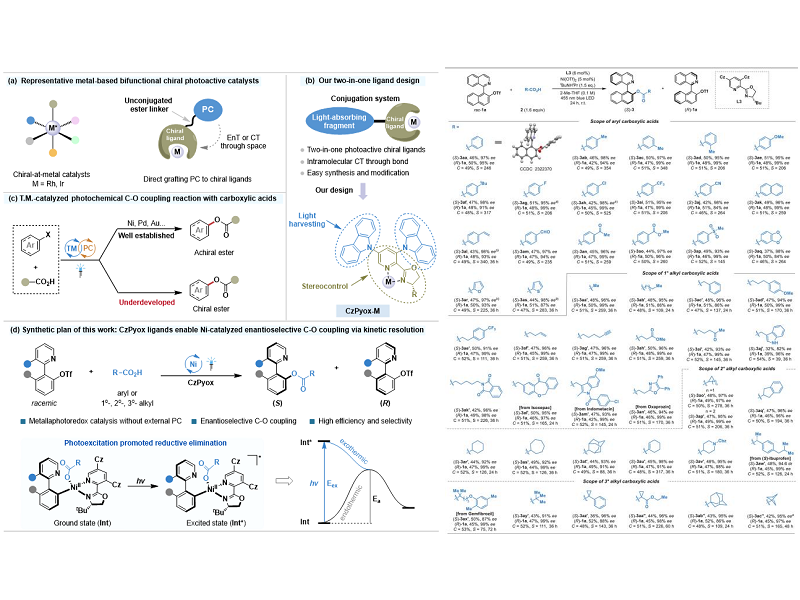 上海交大刘家旺/郑庆舒团队实现双功能光活性手性配体促进的可见光和镍协同催化的不对称C−O偶联
