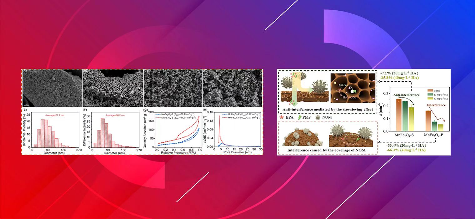 上海交大贾金平团队在Water Research发文揭秘三维多孔结构的关键作用