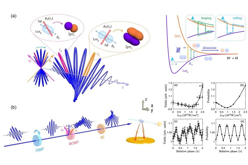 上海交大何峰教授与合作者研究飞秒强激光脉冲驱动的原子电离、分子解离过程取得成果