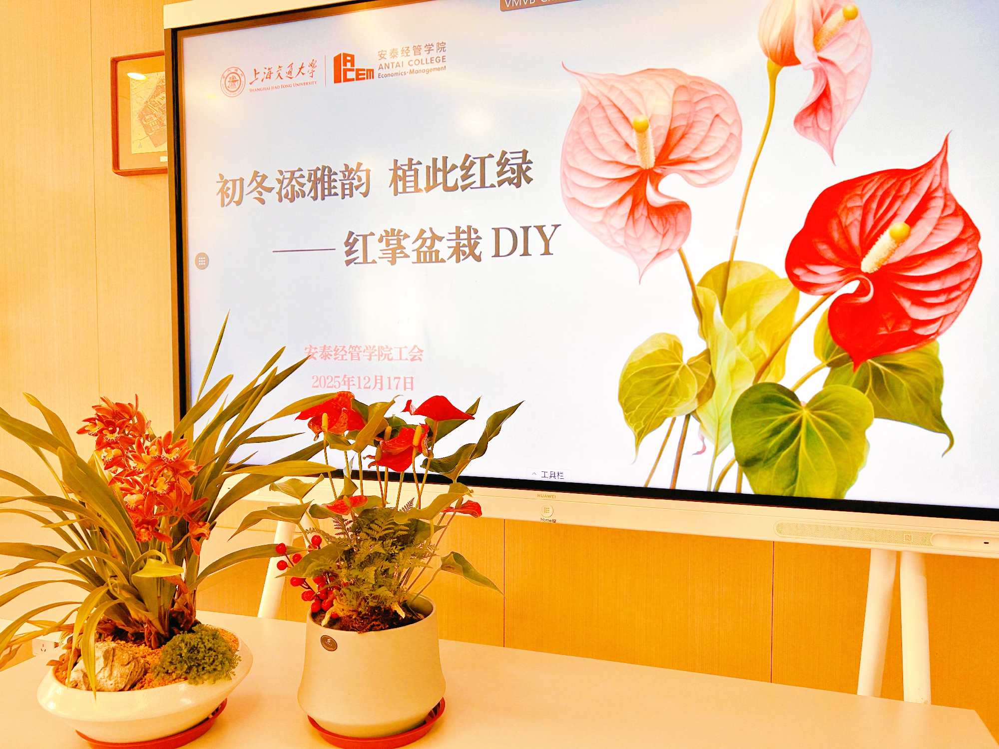 指尖植绿添雅韵，初冬相聚暖人心 —— 安泰经管学院工会红掌盆栽 DIY 活动
